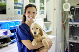 26 complaints against texas veterinarians